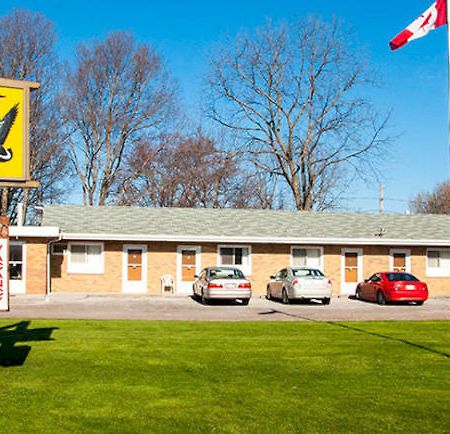 Adams Golden Acres Motel Kingsville Exterior photo