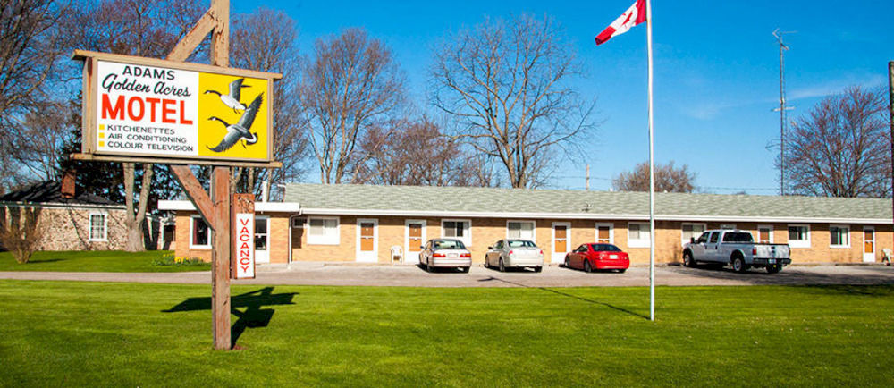 Adams Golden Acres Motel Kingsville Exterior photo